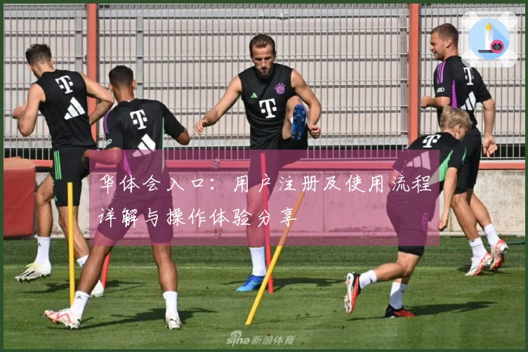 华体会入口：用户注册及使用流程详解与操作体验分享
