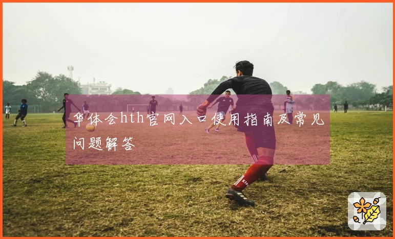 华体会hth官网入口使用指南及常见问题解答